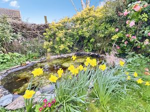 Richard Avenue- click for photo gallery